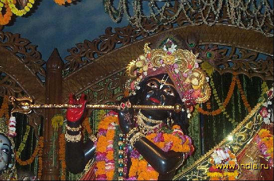 Krishna 