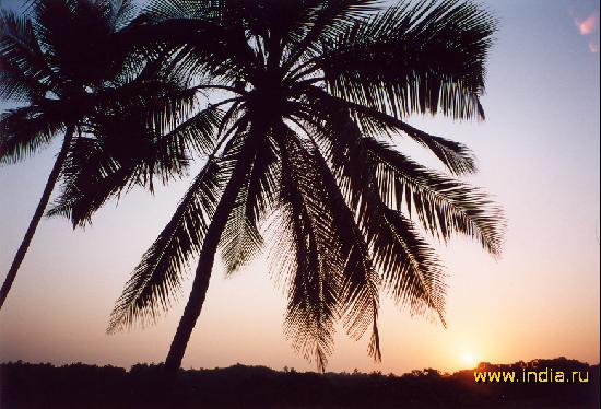 SUNRISE IN GOA 