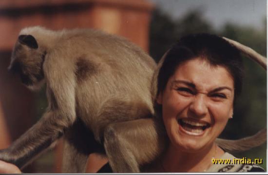 With Sikandera monkey 