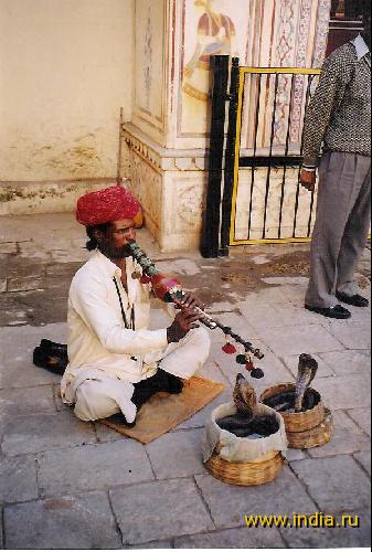 Snake-charmer..... 