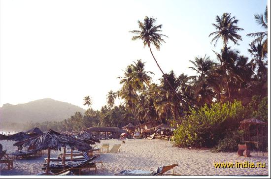 The Palolem Beach 