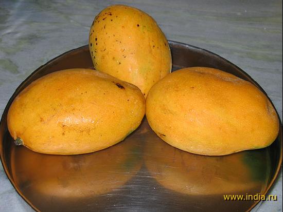 mango Safeda 