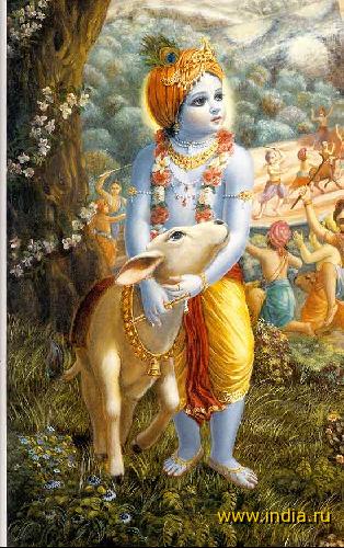 Krishna 
