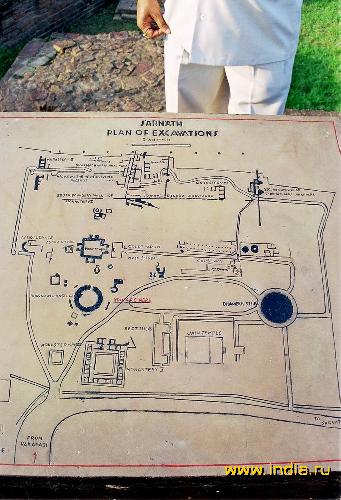   - (Sarnath) 