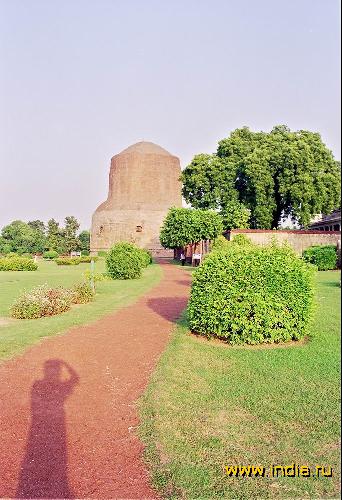   (Dhamekh Stupa) 