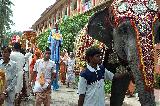festival