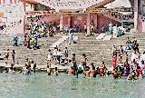    (Haridwar)