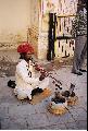 Snake-charmer.....