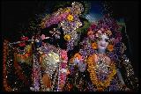 Radhika i Krishna