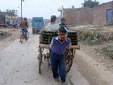 child labour