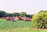     (Sarnath)