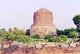   (Dhamekh Stupa)